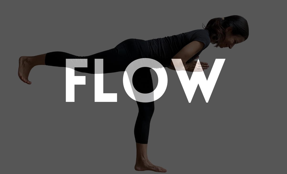 Cosa faremo (700 x 300 px) (1201 x 731 px)