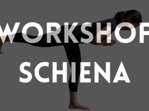 workshop schiena